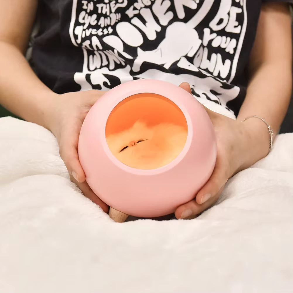 Creative Little Cat Pet Night Light LED Bedsdie Table Decor Lamp USB Rechargeable Bedroom Sleeping Light Gifts for Children Kids